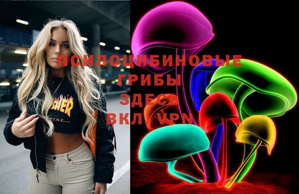 герыч Вяземский