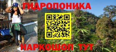 крисы Ипатово
