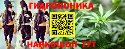 крисы Ипатово