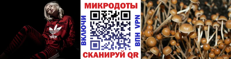 Галлюциногенные грибы мицелий  blacksprut ONION  Куйбышев 