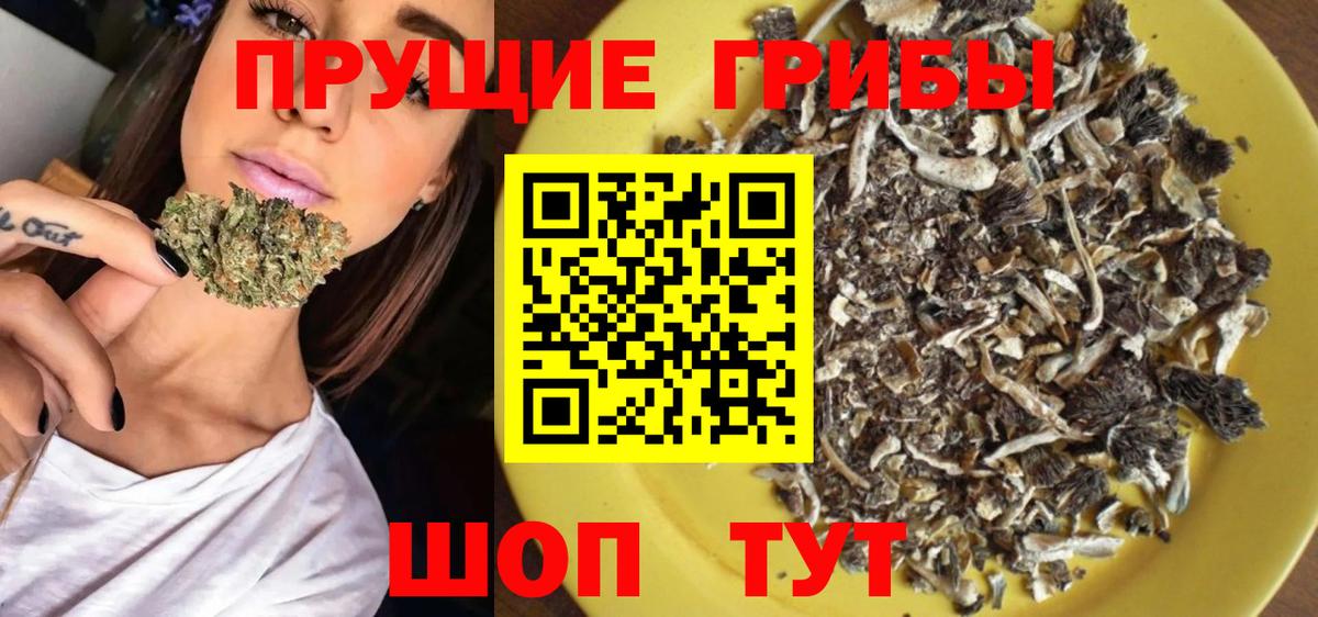 Галлюциногенные грибы Magic Shrooms  наркотики  Куйбышев  Вход с VPN 