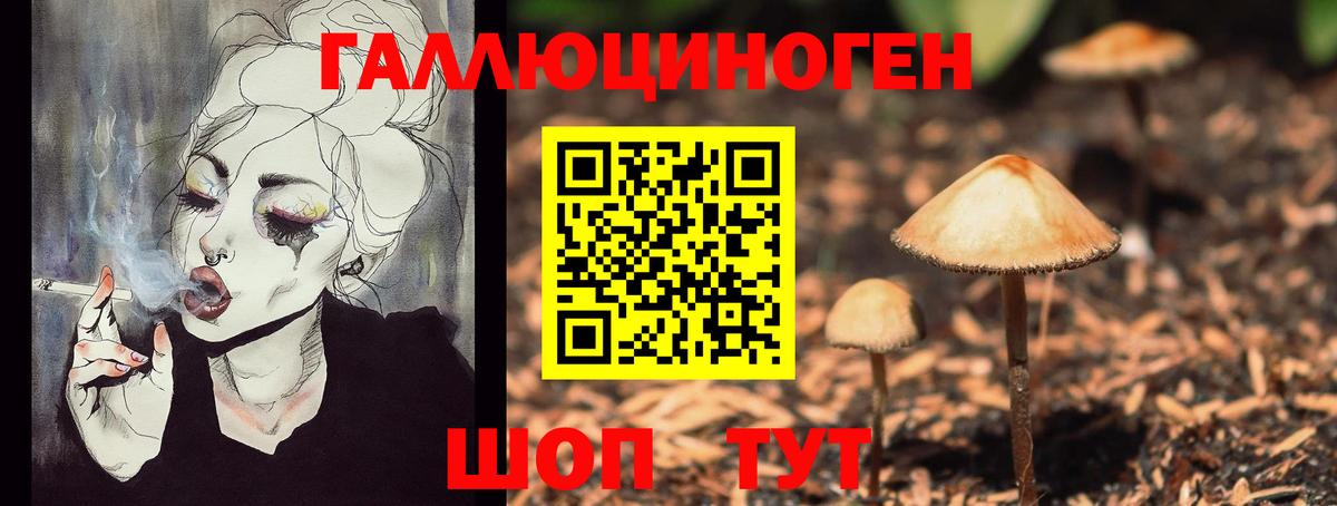 Псилоцибиновые грибы MAGIC MUSHROOMS Куйбышев